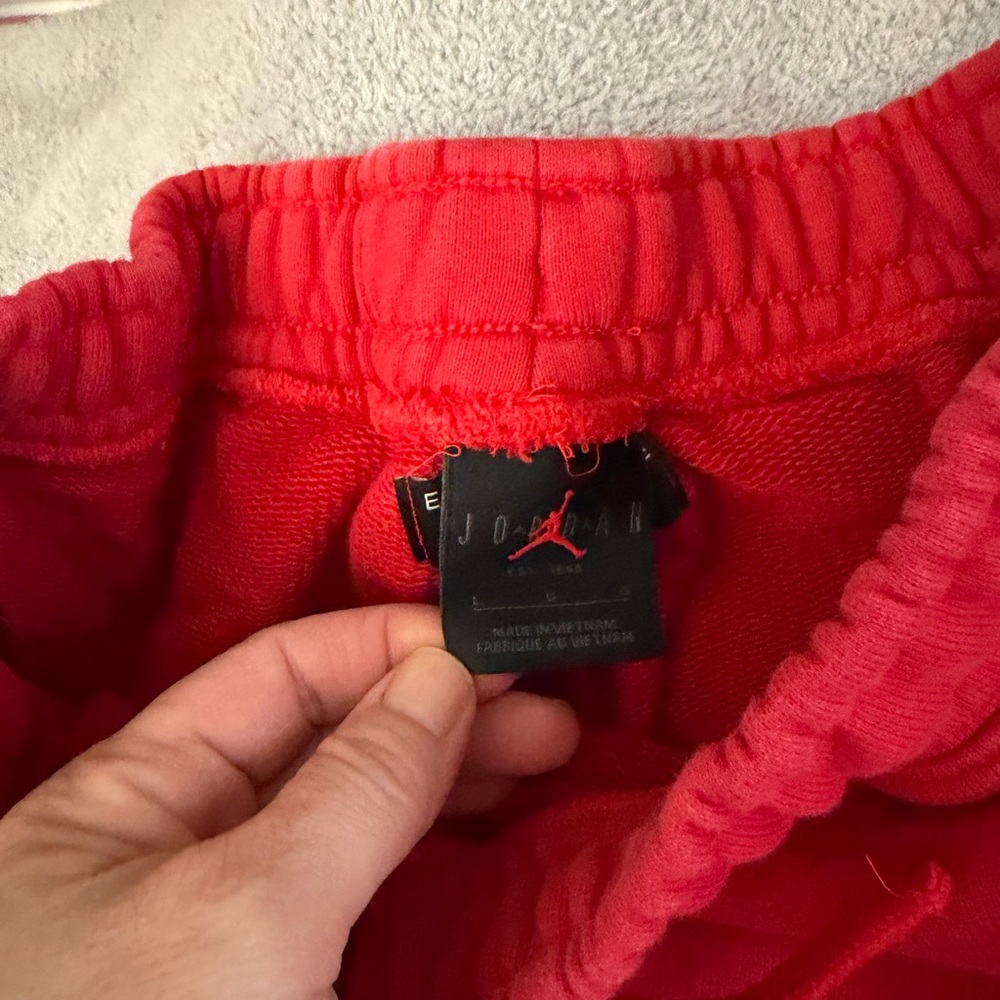Jordan Women’s size L Jogger Pants - Picture 3 of 4